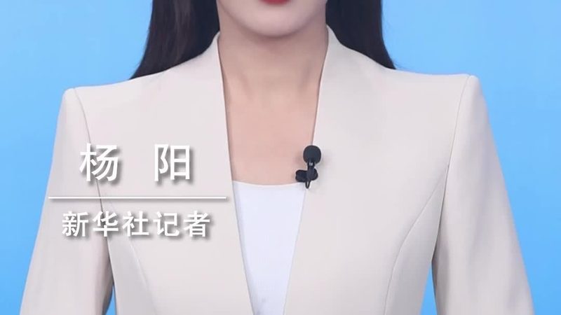上海智慧解决方案品牌：引领城市智能化转型的力量**